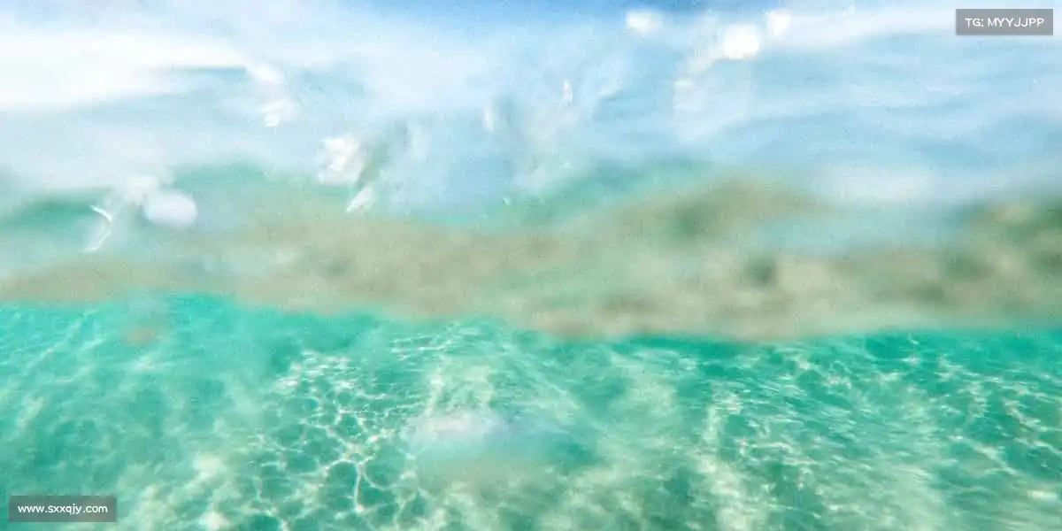 行业领先的理由